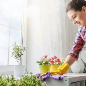 Spring Cleaning Resources