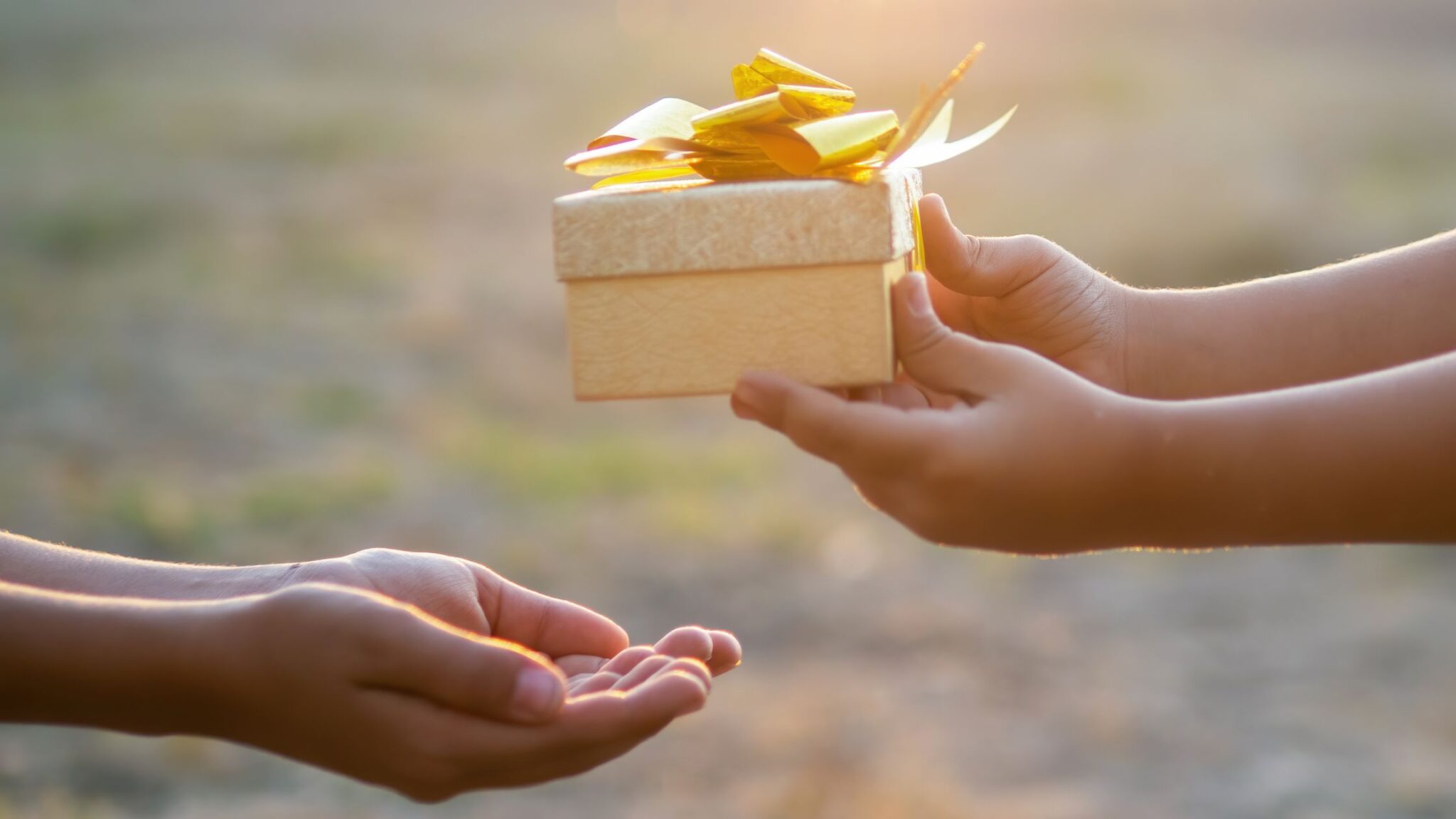 4 Fundamentals of Biblical Giving and Generosity - Agape Investing